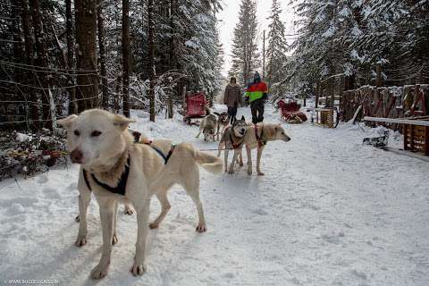 Alaskan Aventure